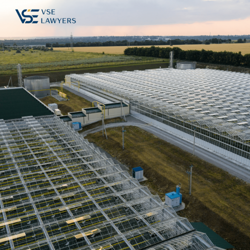 EVN AND ADB COLLABORATE ON PILOT BESS PROJECT - A NEW CHAPTER IN RENEWABLE ENERGY IN VIETNAM