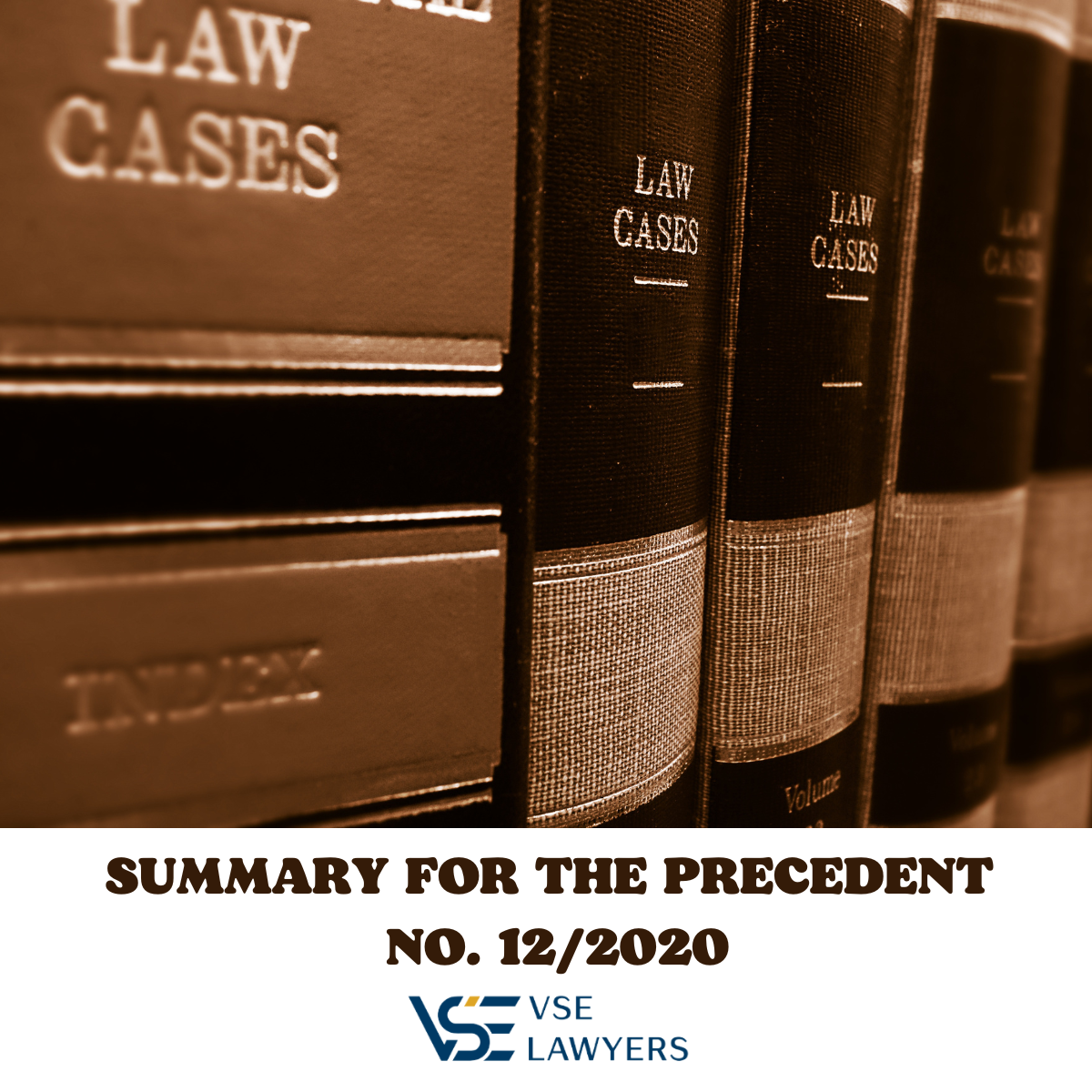 SUMMARY FOR THE PRECEDENT NO. 12/2020