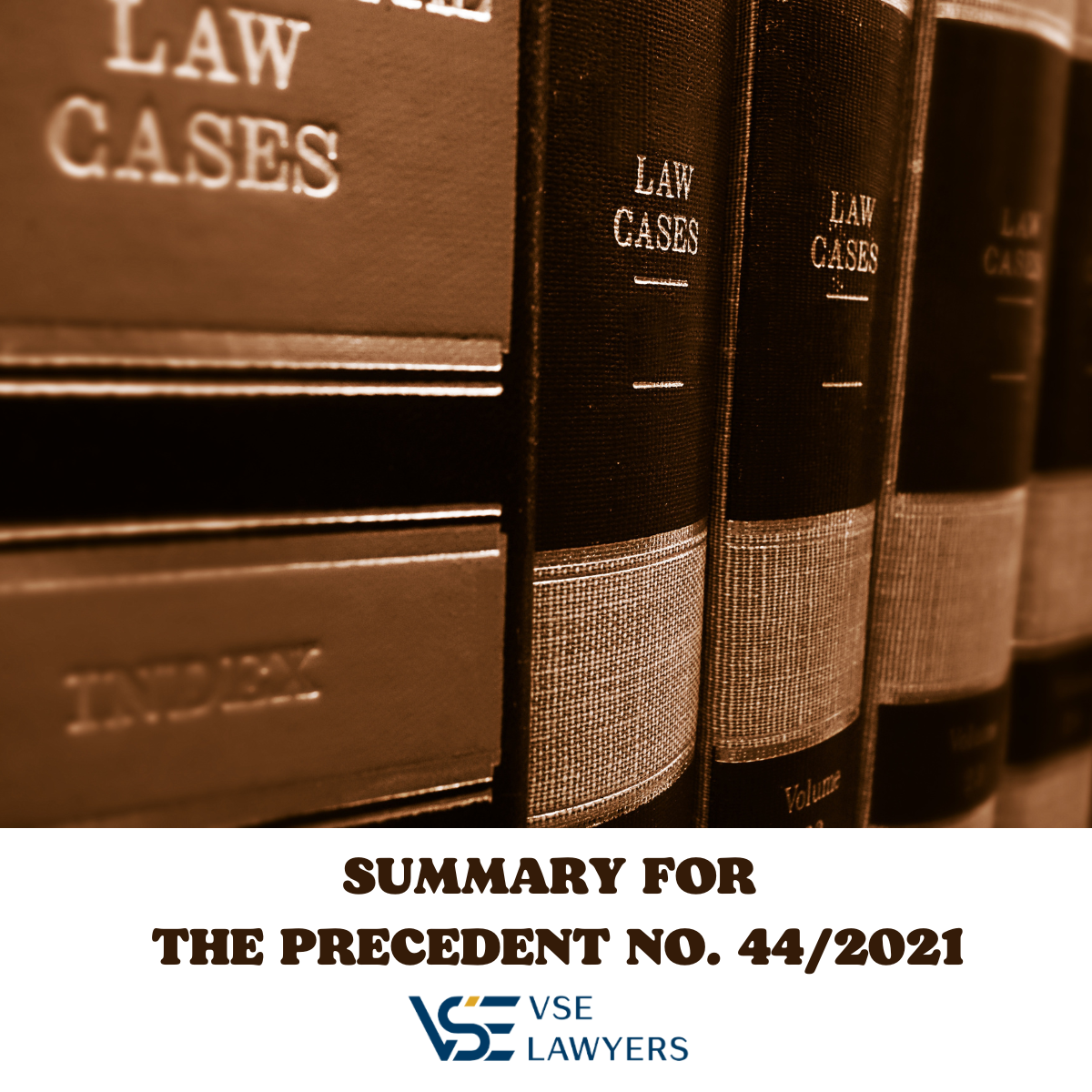 SUMMARY FOR THE PRECEDENT NO. 44/2021