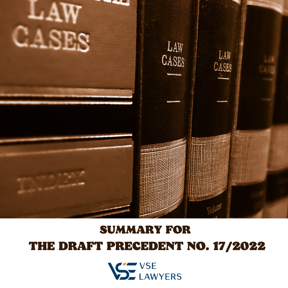 SUMMARY FOR THE DRAFT PRECEDENT NO. 17/2022