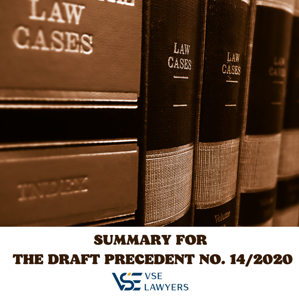 SUMMARY FOR THE DRAFT PRECEDENT NO. 14/2020